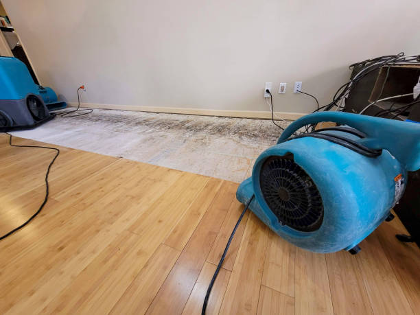 Professional Water Damage Repair technician working in Walstonburg, NC